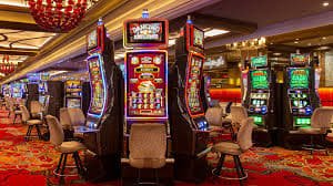 772bet