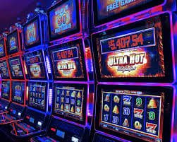 772bet